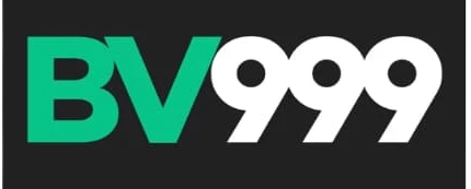 bv999 Logo